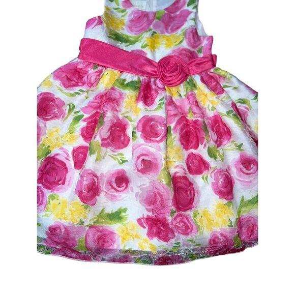 American Princess 2T Party Dress Floral Flower Girl Tulle Sleeveless Elegant - Picture 4 of 10